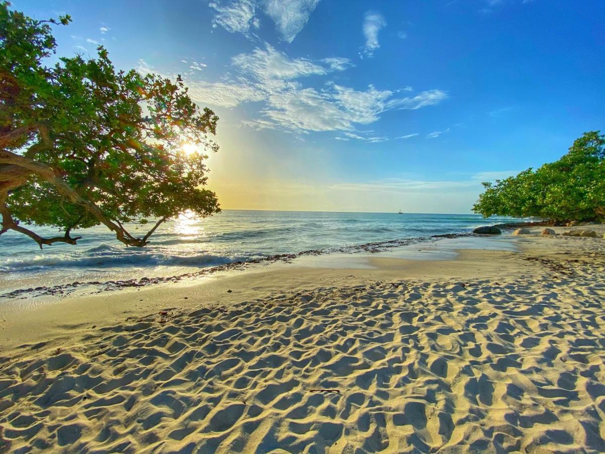 Villa Tamar Palm Beach Kültér fotó